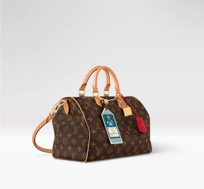 BAG Louis Vuitton Speedy Soft 30 Crafty Brown