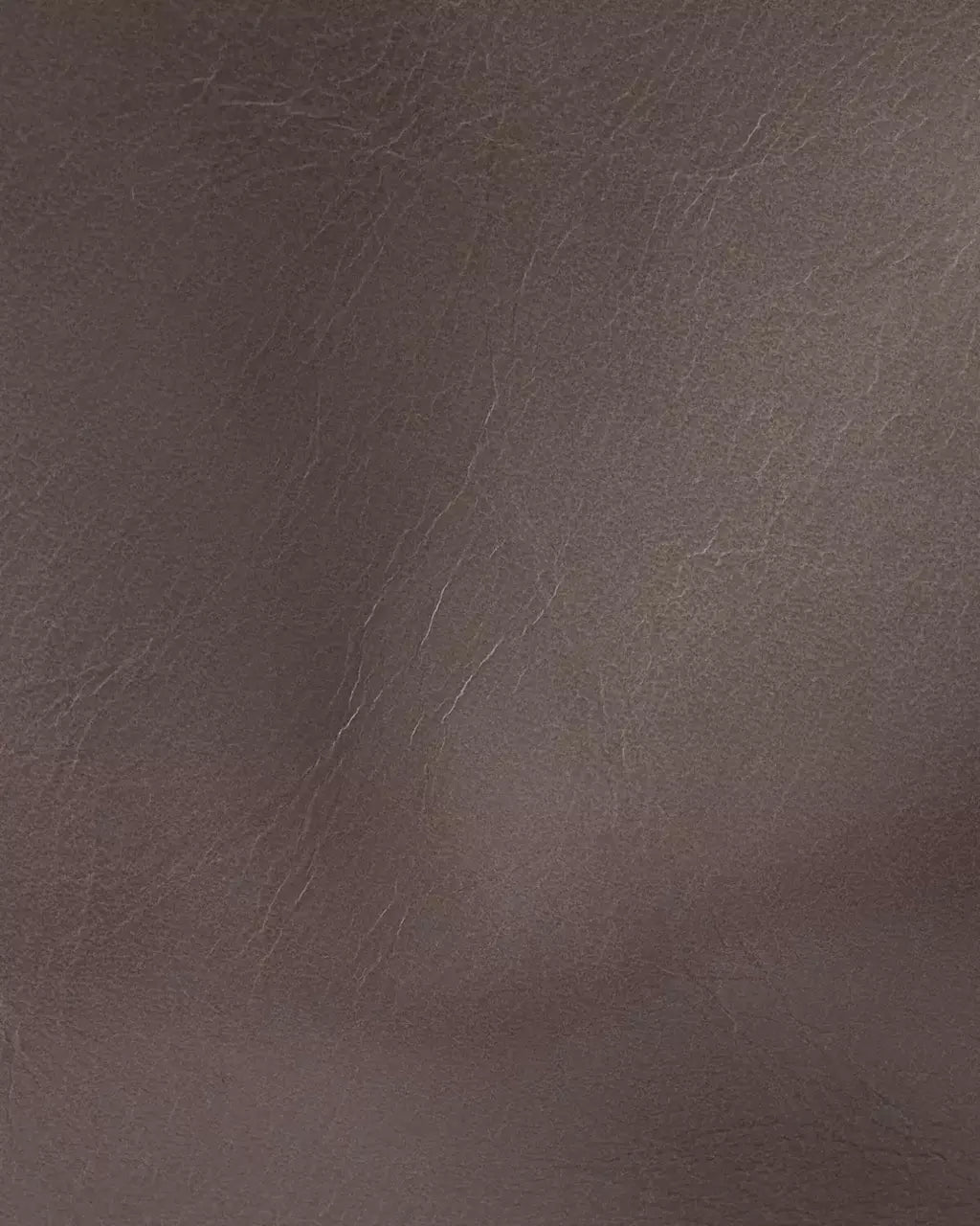 Bag Prada Bonnie Buckle Leather Shoulder Bag